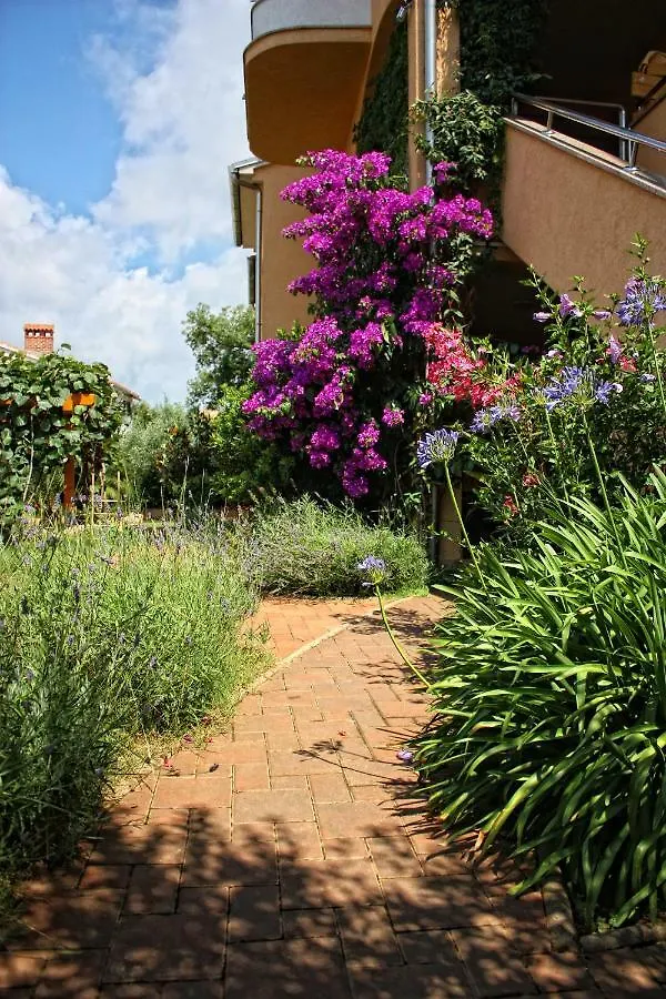 Villa Alexandra 4 Pjescana Uvala